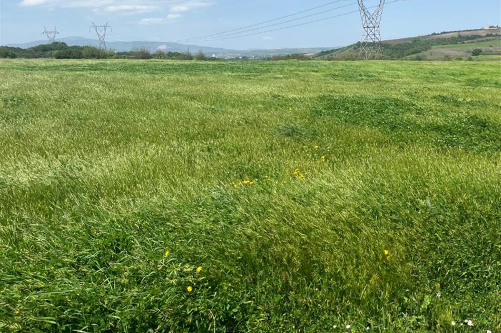 CENTURY 21BAL'DAN BALIKESİR SUSURLUK KARAPÜRÇEK'TE SATILIK TARLA