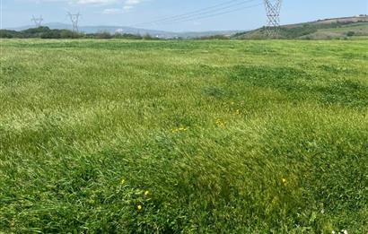CENTURY 21BAL'DAN BALIKESİR SUSURLUK KARAPÜRÇEK'TE SATILIK TARLA