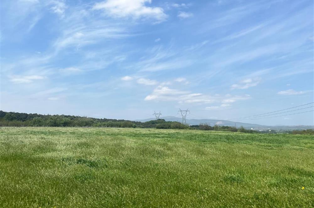 CENTURY 21BAL'DAN BALIKESİR SUSURLUK KARAPÜRÇEK'TE SATILIK TARLA