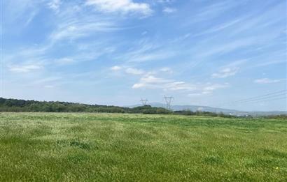 CENTURY 21BAL'DAN BALIKESİR SUSURLUK KARAPÜRÇEK'TE SATILIK TARLA