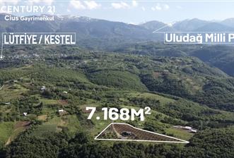 C21 Cius; Kestel Lütfiye'de Satılık 7168 m2 Hobi Bahçesi