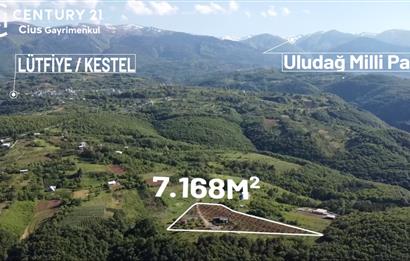 C21 Cius; Kestel Lütfiye'de Satılık 7168 m2 Hobi Bahçesi