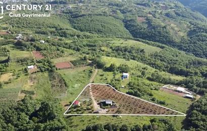 C21 Cius; Kestel Lütfiye'de Satılık 7168 m2 Hobi Bahçesi