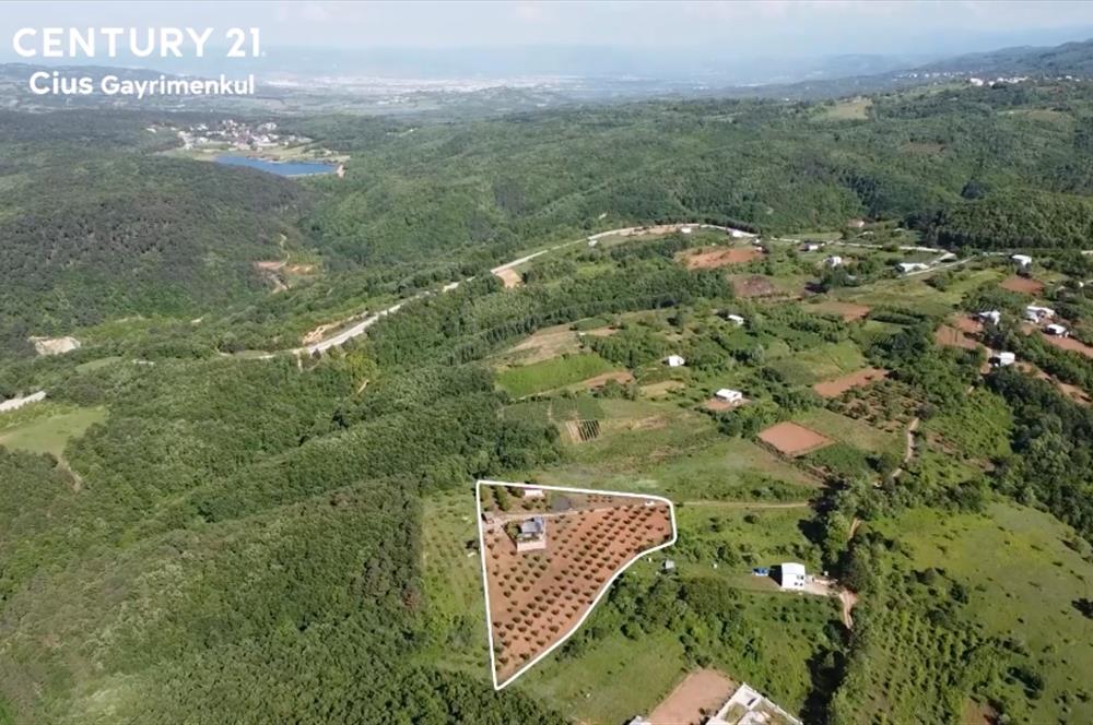 C21 Cius; Kestel Lütfiye'de Satılık 7168 m2 Hobi Bahçesi