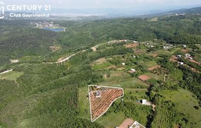 C21 Cius; Kestel Lütfiye'de Satılık 7168 m2 Hobi Bahçesi