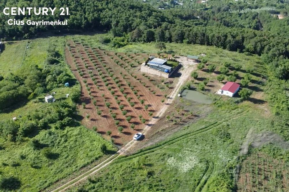 C21 Cius; Kestel Lütfiye'de Satılık 7168 m2 Hobi Bahçesi