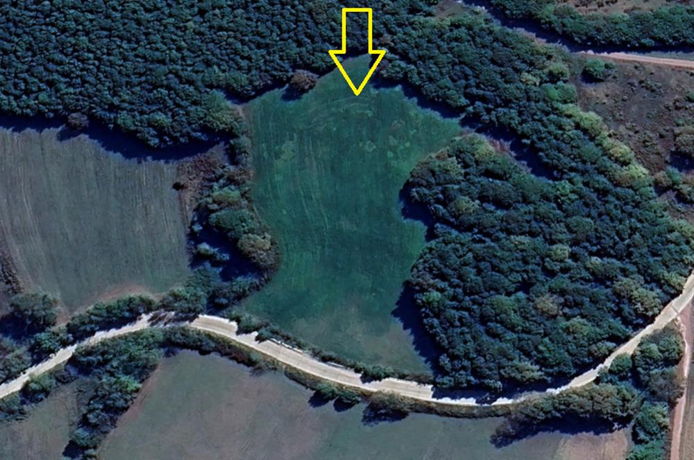 İZMİT BULDUK KÖYÜNDE YOLA CEPHELİ 9.674 m2 SATILIK TARLA