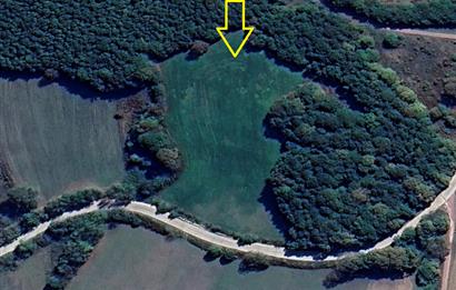İZMİT BULDUK KÖYÜNDE YOLA CEPHELİ 9.674 m2 SATILIK TARLA