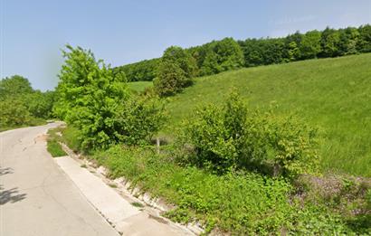 İZMİT BULDUK KÖYÜNDE YOLA CEPHELİ 9.674 m2 SATILIK TARLA