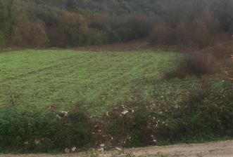Sakarya Arsa