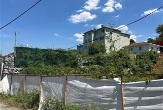 BEYKOZ ELMALI ARSA
