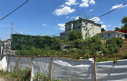 BEYKOZ ELMALI ARSA