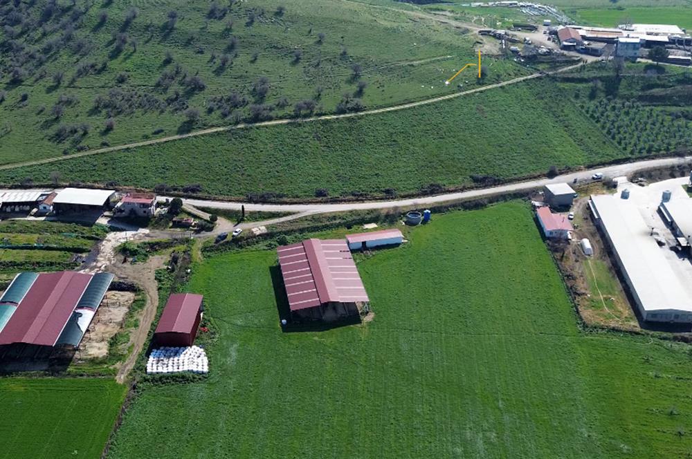 İzmir Tirede Yatırımlık Tarla & Çiftlik Fırsatı!
