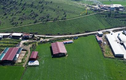 İzmir Tirede Yatırımlık Tarla & Çiftlik Fırsatı!