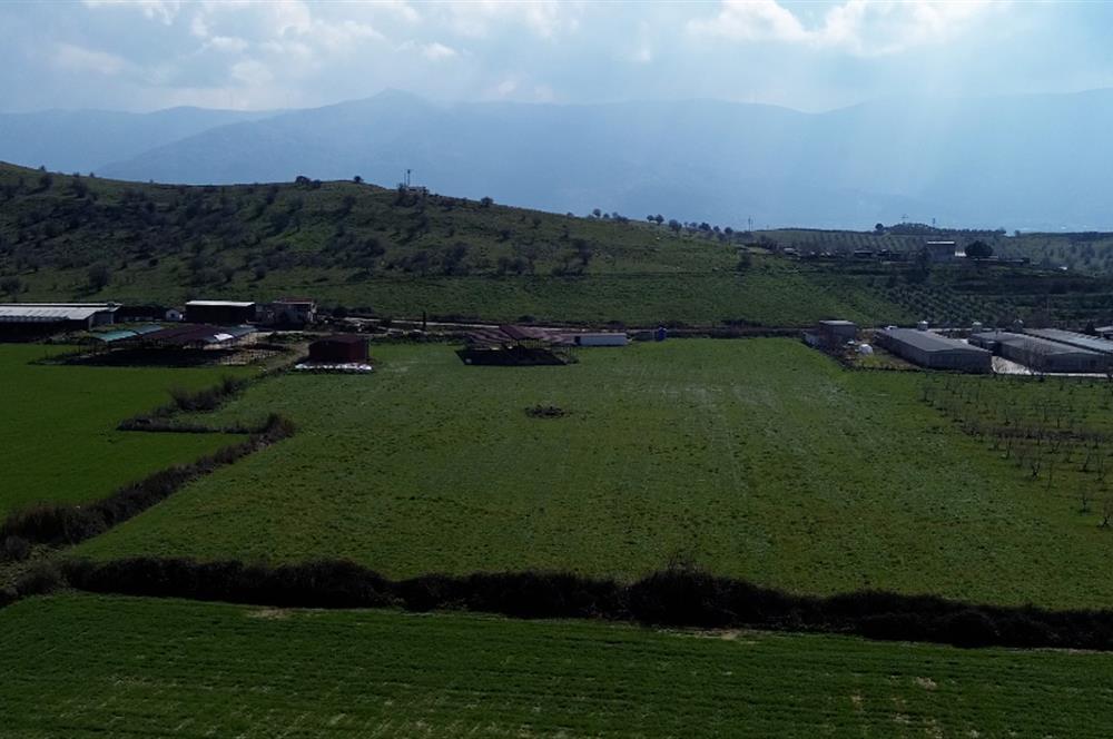 İzmir Tirede Yatırımlık Tarla & Çiftlik Fırsatı!