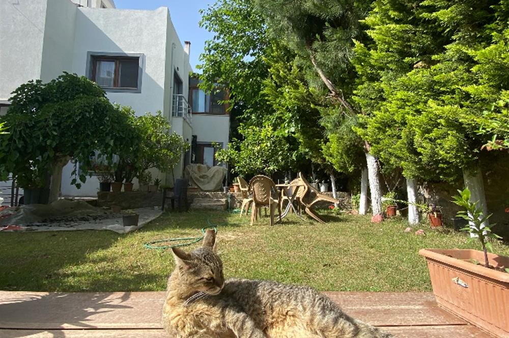 Meyve Bahçeli İzole Satılık Müstakil Dubleks + Ek Villa ve Arsa Opsiyonu İle Yatırım Fırsatı Gayrimenkul