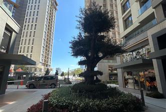 C21 ROOF'dan 19.ETAP'da 3+1 YÜKSEK KAT KİRALIK DAİRE