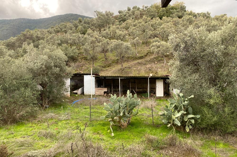 BAFA-MİLAS YOLUNDA SATILIK TİCARİ ARSA KARAYOLUNA 40 METRE CEPHELİ