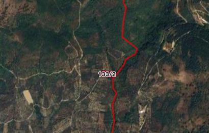ORHANGAZİ ÇAKIRLI’da 2284m2 RESMİ YOLA CEPHELİ ZEYTİNLİK