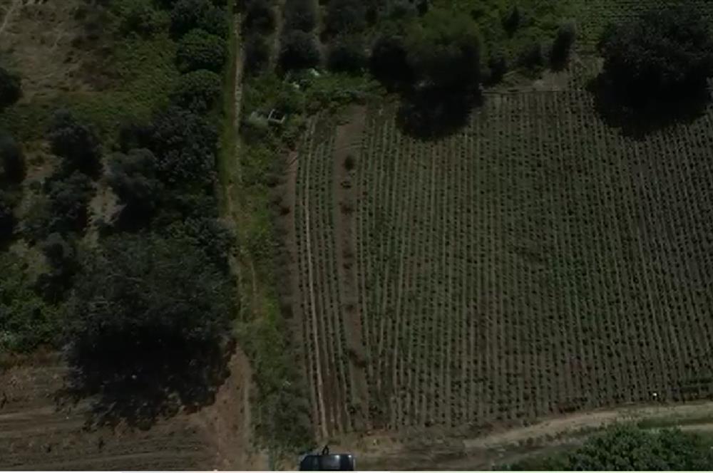 C21 PROJECT OFİSİNDEN BALIKESİR BANDIRMA AKSALADA SATILIK TARLA