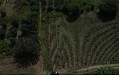 C21 PROJECT OFİSİNDEN BALIKESİR BANDIRMA AKSALADA SATILIK TARLA
