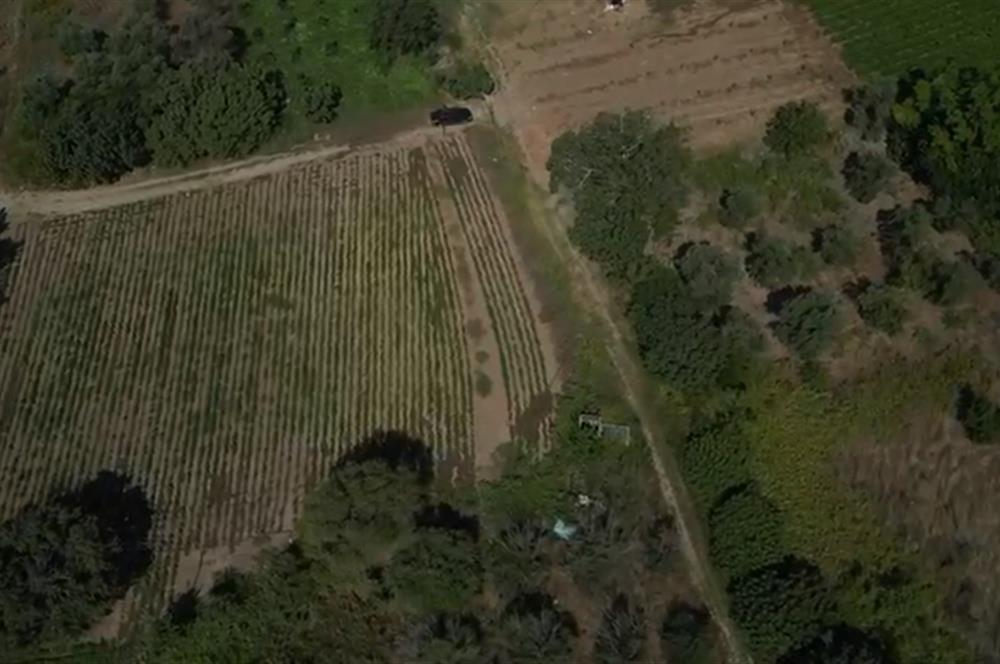 C21 PROJECT OFİSİNDEN BALIKESİR BANDIRMA AKSALADA SATILIK TARLA