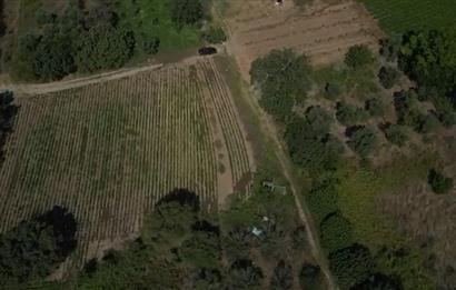 C21 PROJECT OFİSİNDEN BALIKESİR BANDIRMA AKSALADA SATILIK TARLA
