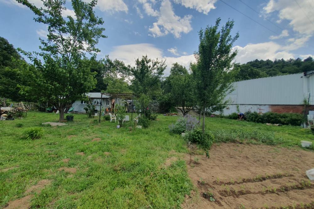 DAĞYENİCE'DE ASFALTA CEPHE 3180 m² ARSA