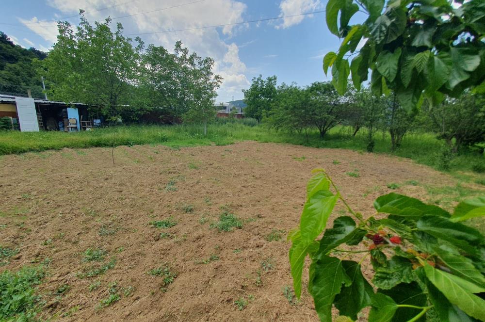 DAĞYENİCE'DE ASFALTA CEPHE 3180 m² ARSA