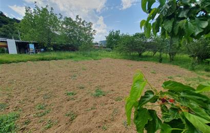 DAĞYENİCE'DE ASFALTA CEPHE 3180 m² ARSA