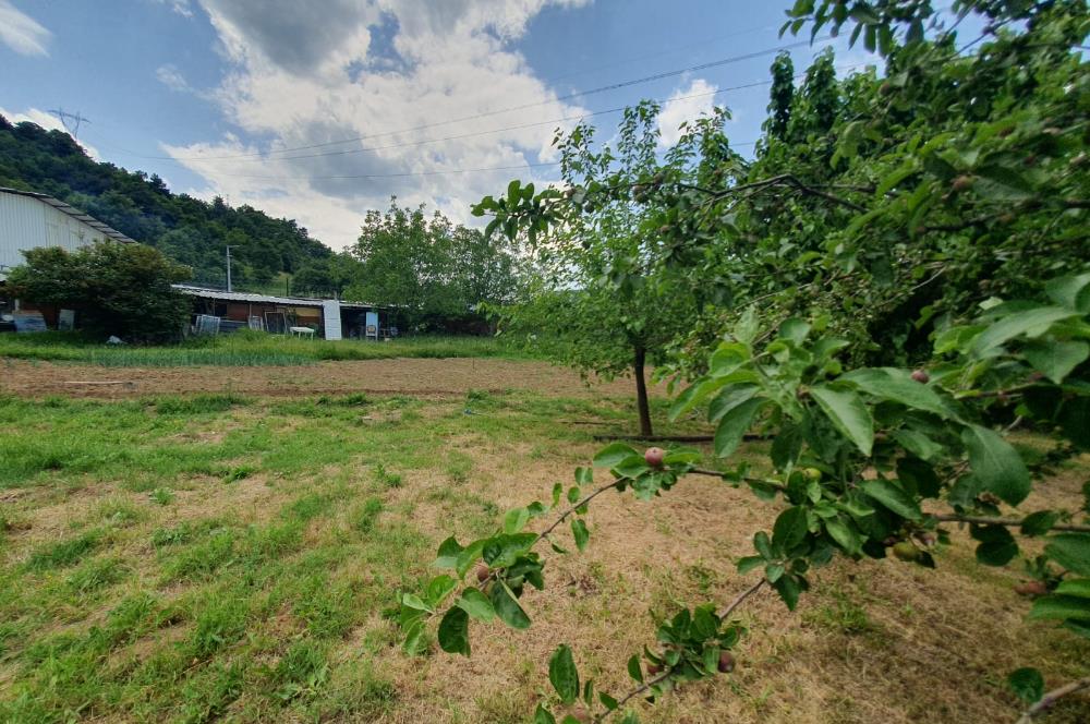DAĞYENİCE'DE ASFALTA CEPHE 3180 m² ARSA