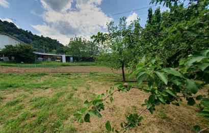 DAĞYENİCE'DE ASFALTA CEPHE 3180 m² ARSA