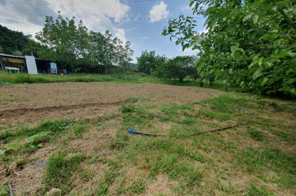 DAĞYENİCE'DE ASFALTA CEPHE 3180 m² ARSA