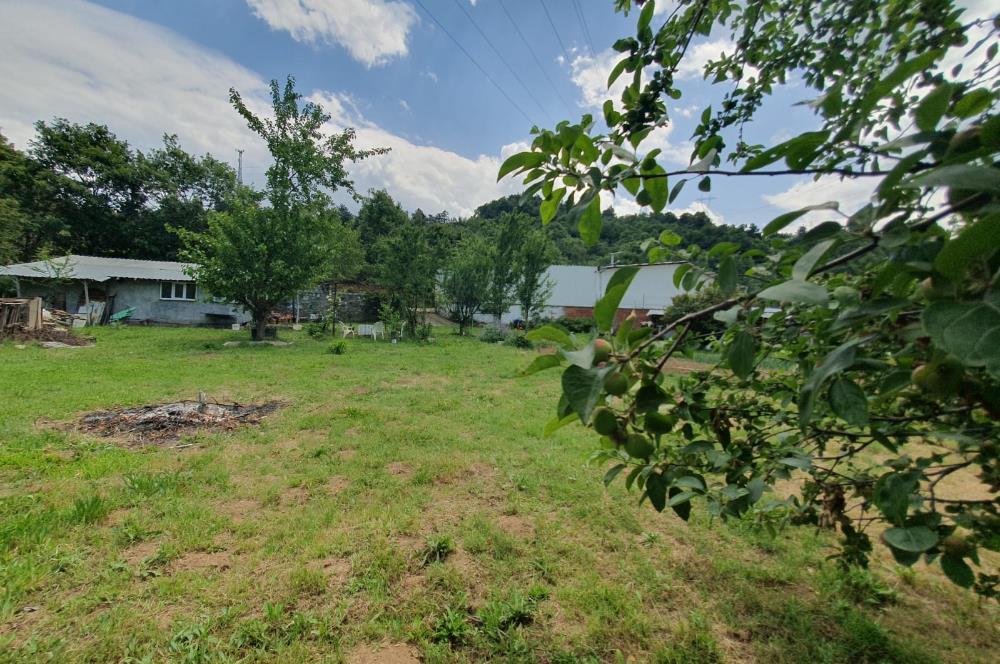 DAĞYENİCE'DE ASFALTA CEPHE 3180 m² ARSA