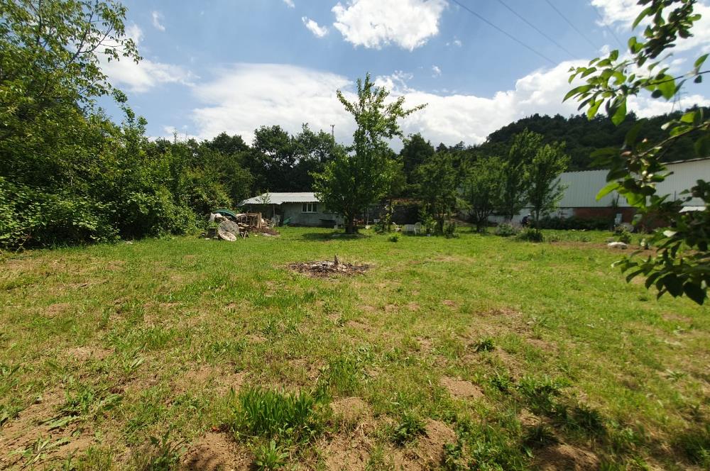 DAĞYENİCE'DE ASFALTA CEPHE 3180 m² ARSA