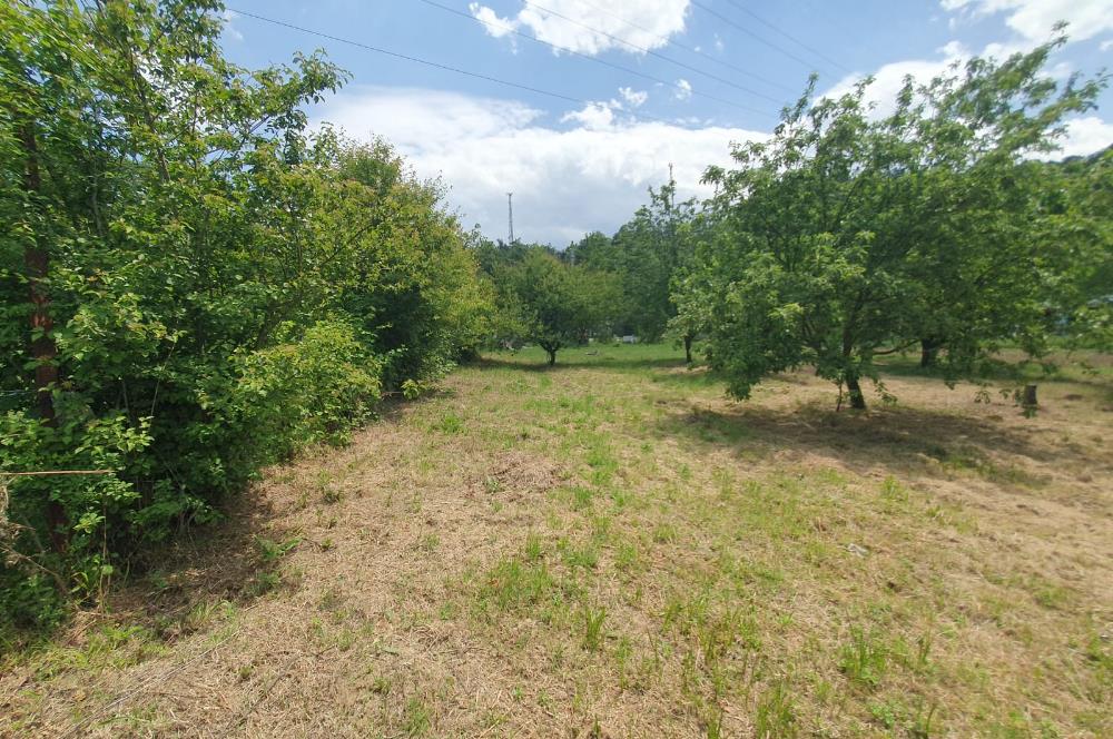 DAĞYENİCE'DE ASFALTA CEPHE 3180 m² ARSA