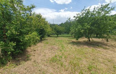 DAĞYENİCE'DE ASFALTA CEPHE 3180 m² ARSA