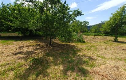 DAĞYENİCE'DE ASFALTA CEPHE 3180 m² ARSA