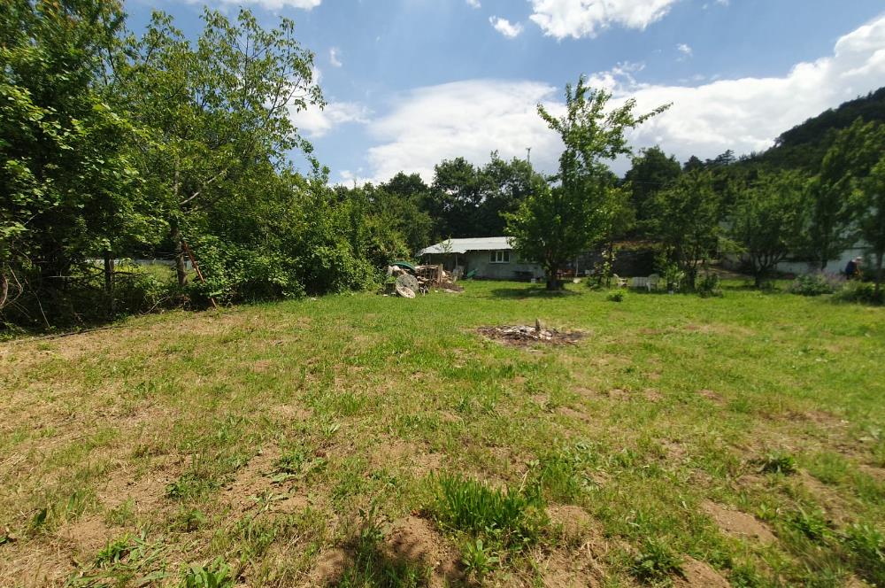 DAĞYENİCE'DE ASFALTA CEPHE 3180 m² ARSA