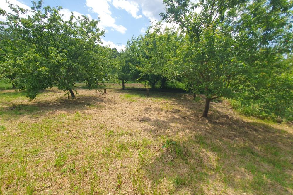 DAĞYENİCE'DE ASFALTA CEPHE 3180 m² ARSA