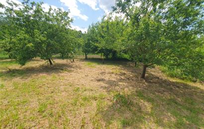 DAĞYENİCE'DE ASFALTA CEPHE 3180 m² ARSA