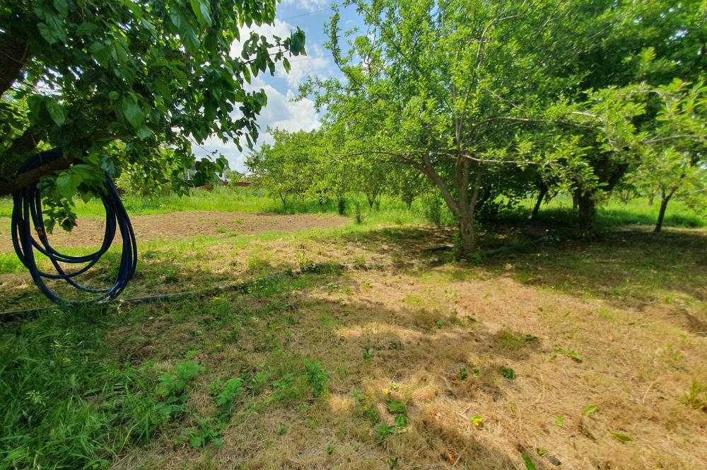 DAĞYENİCE'DE ASFALTA CEPHE 3180 m² ARSA