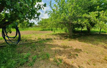 DAĞYENİCE'DE ASFALTA CEPHE 3180 m² ARSA