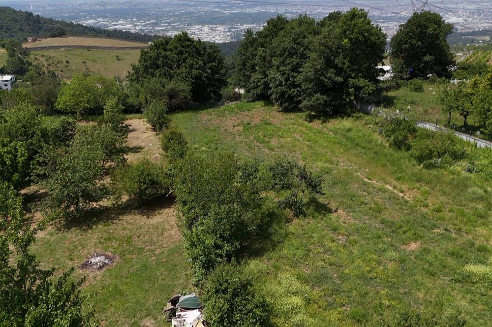 DAĞYENİCE'DE ASFALTA CEPHE 3180 m² ARSA