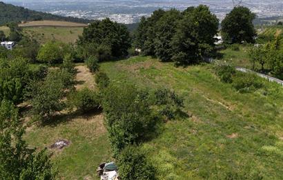 DAĞYENİCE'DE ASFALTA CEPHE 3180 m² ARSA