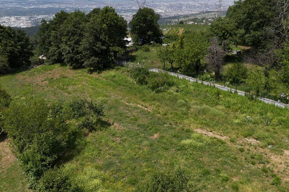 DAĞYENİCE'DE ASFALTA CEPHE 3180 m² ARSA