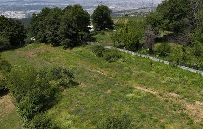 DAĞYENİCE'DE ASFALTA CEPHE 3180 m² ARSA