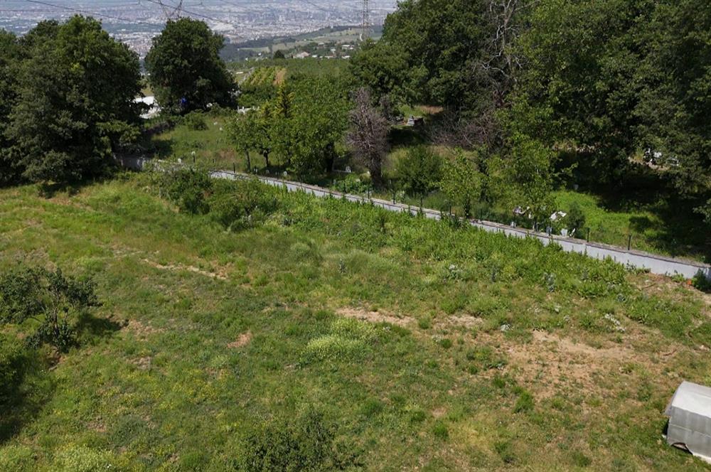 DAĞYENİCE'DE ASFALTA CEPHE 3180 m² ARSA