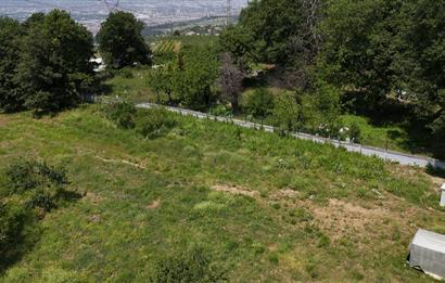 DAĞYENİCE'DE ASFALTA CEPHE 3180 m² ARSA
