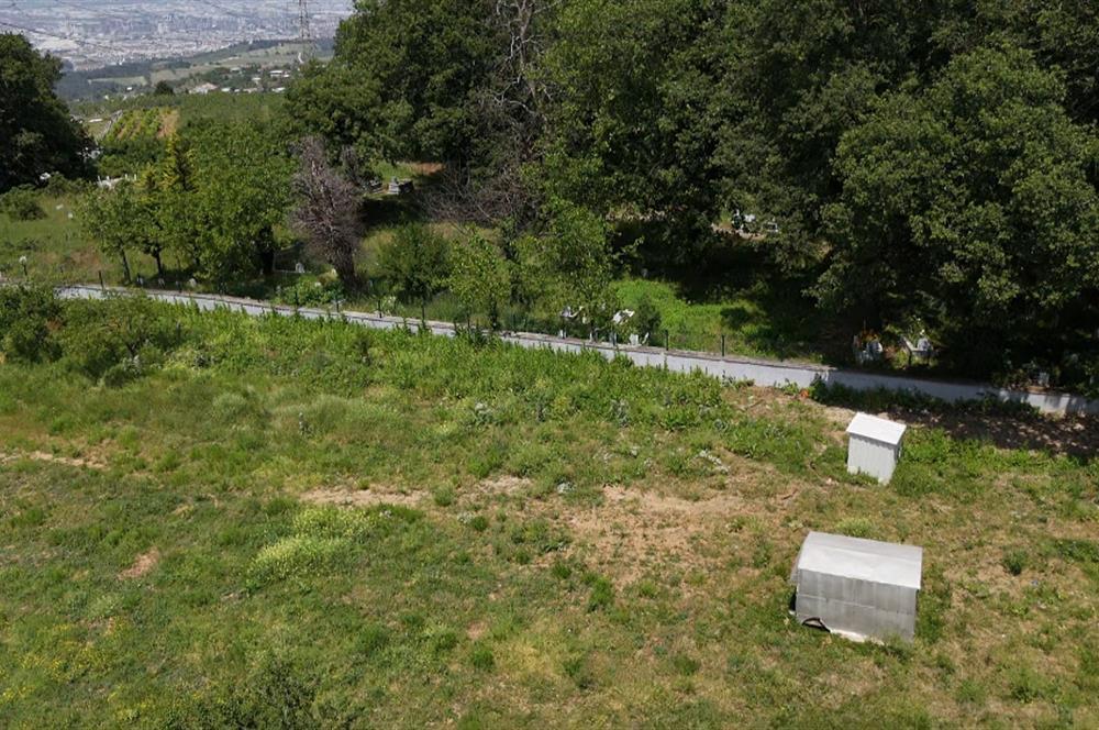 DAĞYENİCE'DE ASFALTA CEPHE 3180 m² ARSA